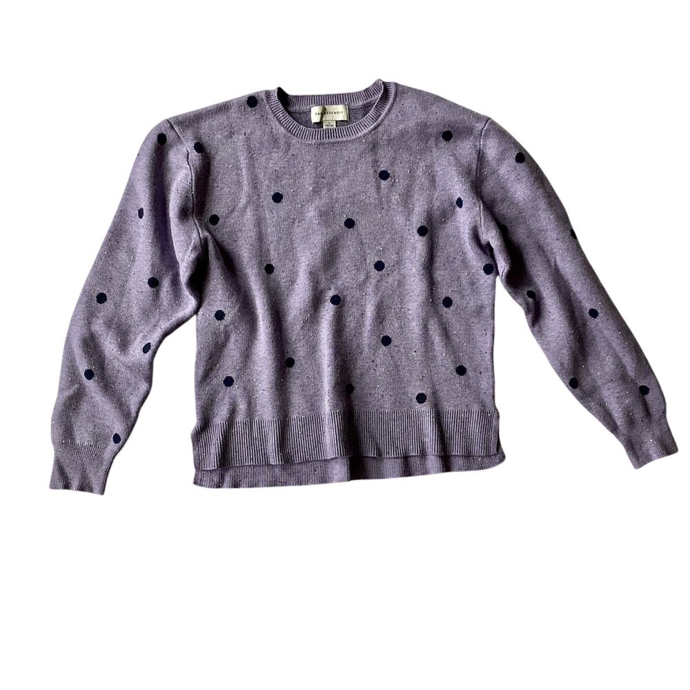 NWOT Free Assembly Polka Dot Sweater
